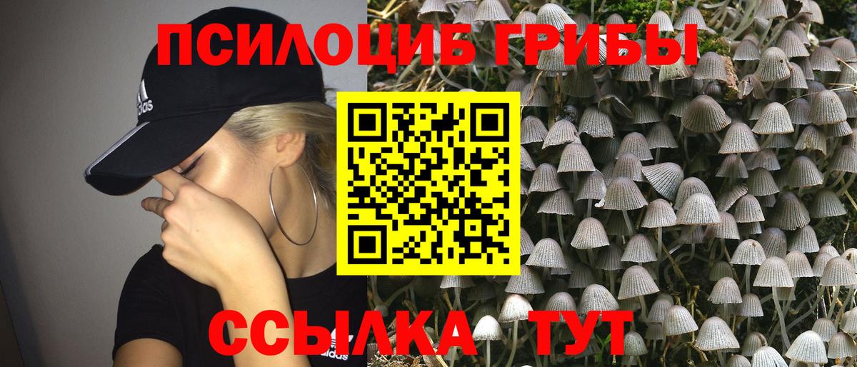 Галлюциногенные грибы Psilocybe  Псилоцибиновые грибы Cubensis  Мценск  Вход с VPN 